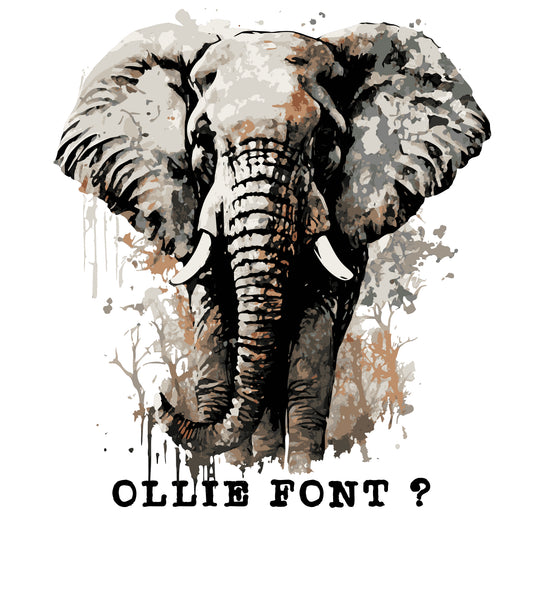 My African Dream - Ollie Font