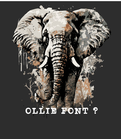 My African Dream - Ollie Font