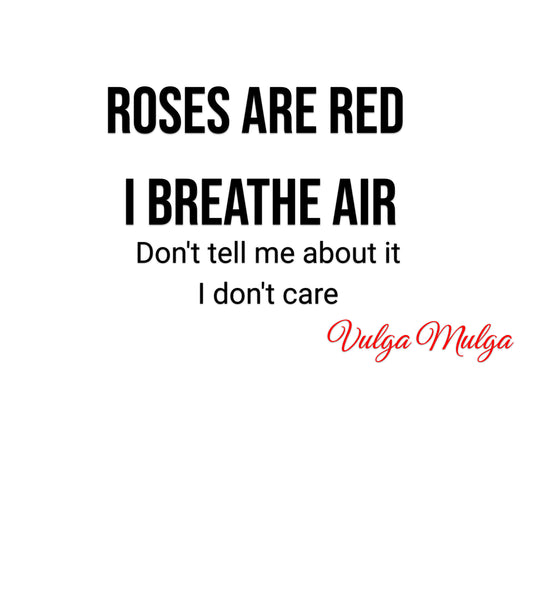 Vulga Mulga - I dont care