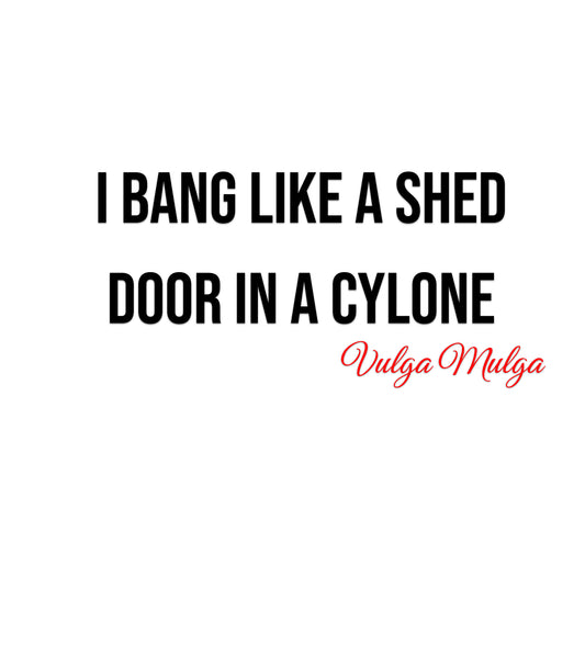 Vulga Mulga - Shed door cyclone